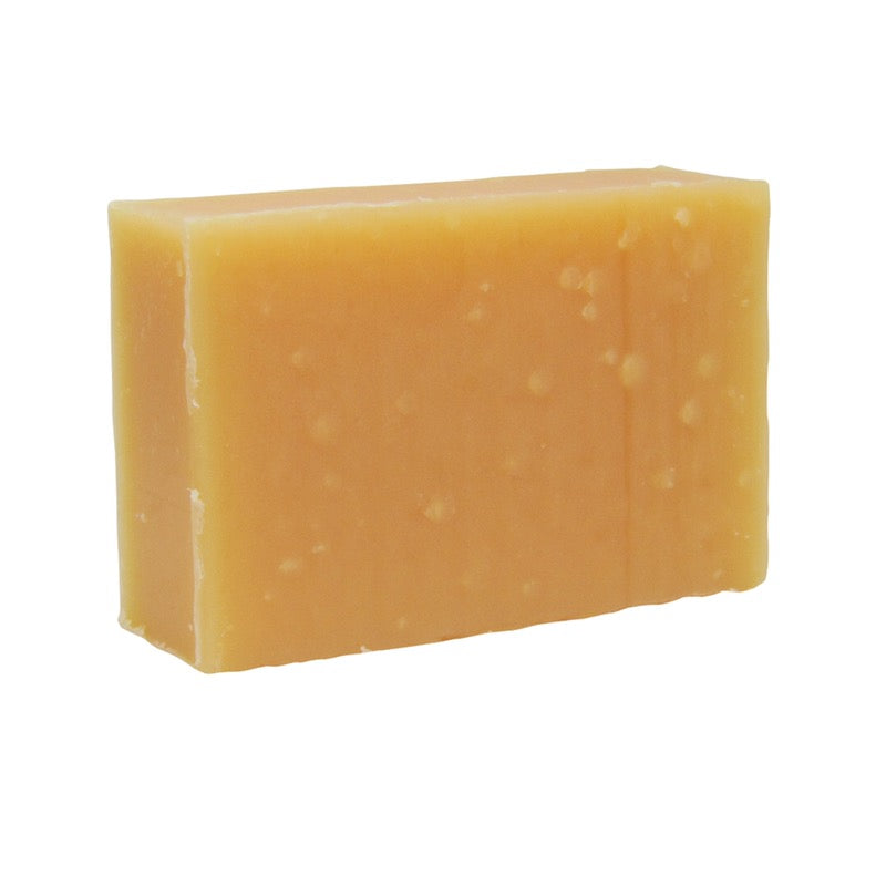 Friendly All-In-One Travel Soap Bar