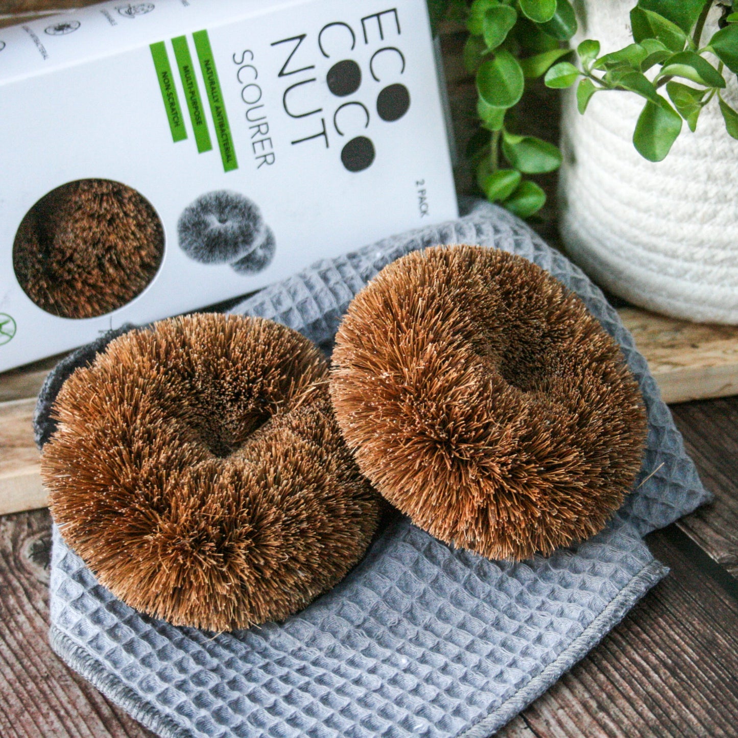 eco coconut scourer two pack